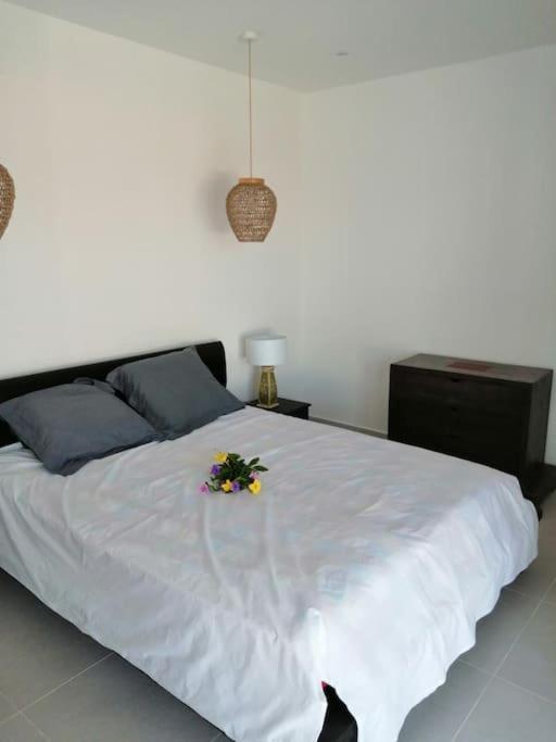Residence Canne Mapou 2 1 Chambre Saint Pierre Exterior photo